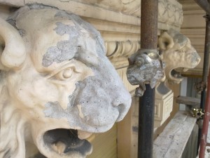 testa di leonessa in lavorazione