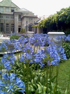 vista dal giardino